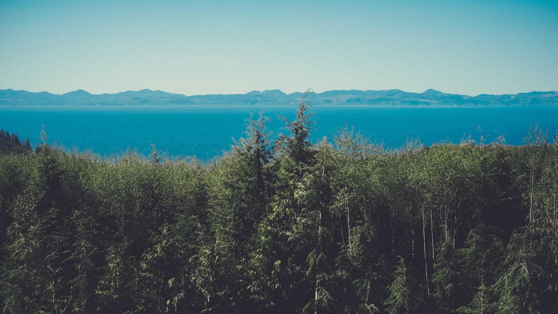 Elite Science Academy