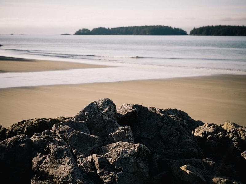 Progressive Learning Hub