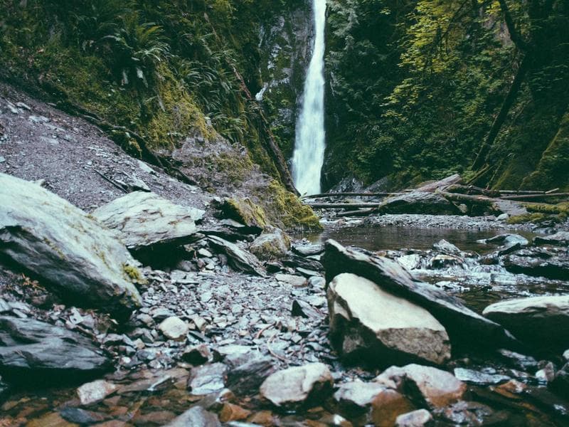 Global Language Institute