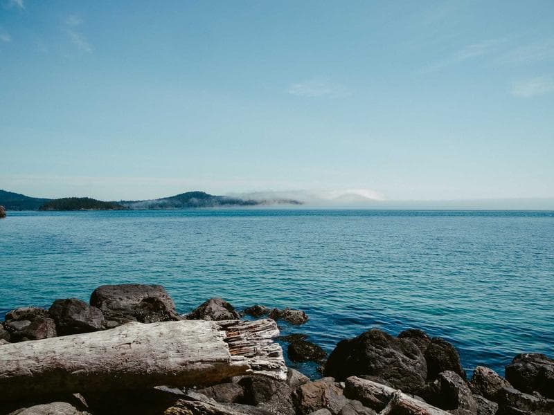 Apex Foundation Academy